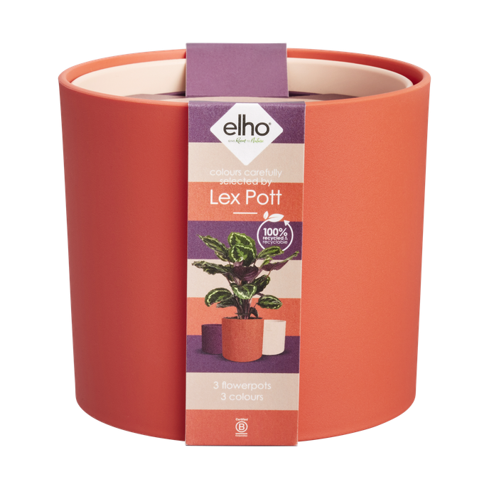 lex pott set 14cm rosso corallo